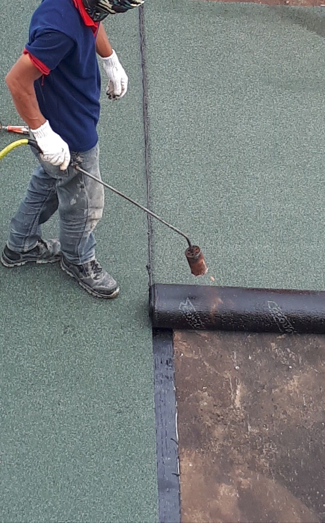 a06392195e6146535b2cddd154a7765b